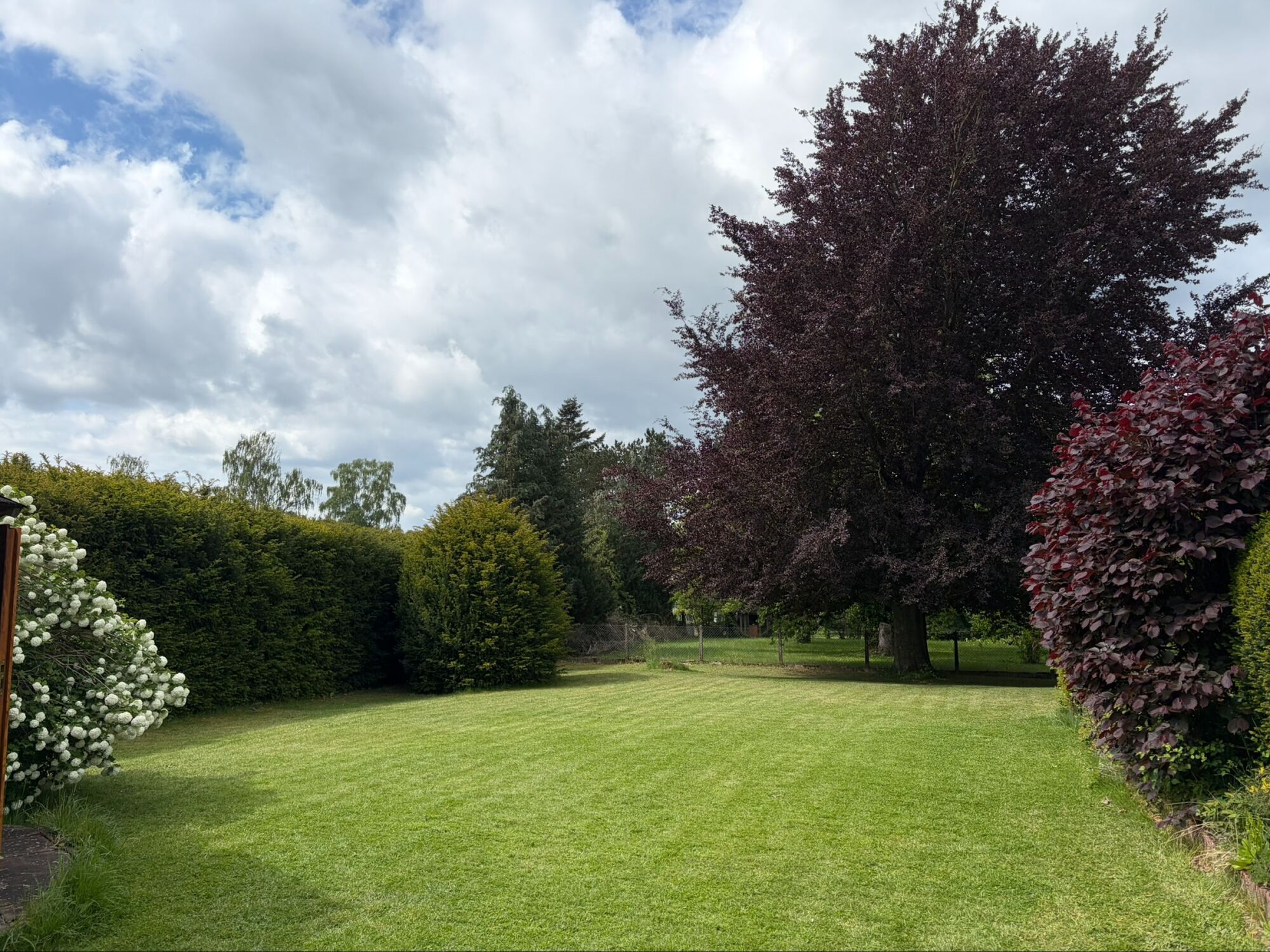 Garten Garten