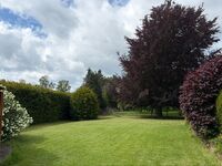 Garten Garten