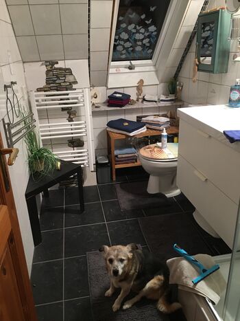 Casa Cerasum 1 Bild 5 Casa Cerasum 1 Bild 5