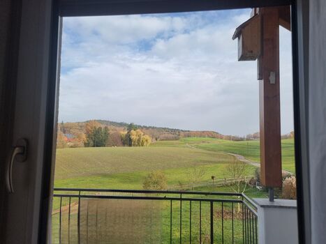 Zwischen Stadt und Natur Zwischen Stadt und Natur