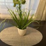 M&BLuxux Apartments Obrázok 9 M&BLuxux Apartments Obrázok 9