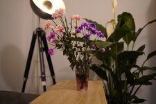 Wohnung in Berlin Bild 10 Wohnung in Berlin Bild 10