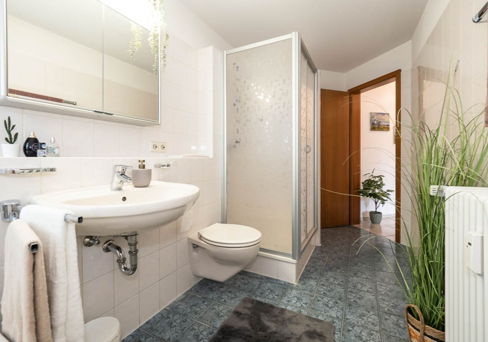 Zdjęcie 5 Zdjęcie 5