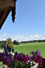 Blick vom Balkon Blick vom Balkon