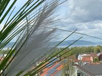 Wohnung Nowraty Zdjęcie 1 Wohnung Nowraty Zdjęcie 1