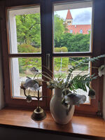 2,5 Zimmer in schönem alten Gasthof Picture 6 2,5 Zimmer in schönem alten Gasthof Picture 6