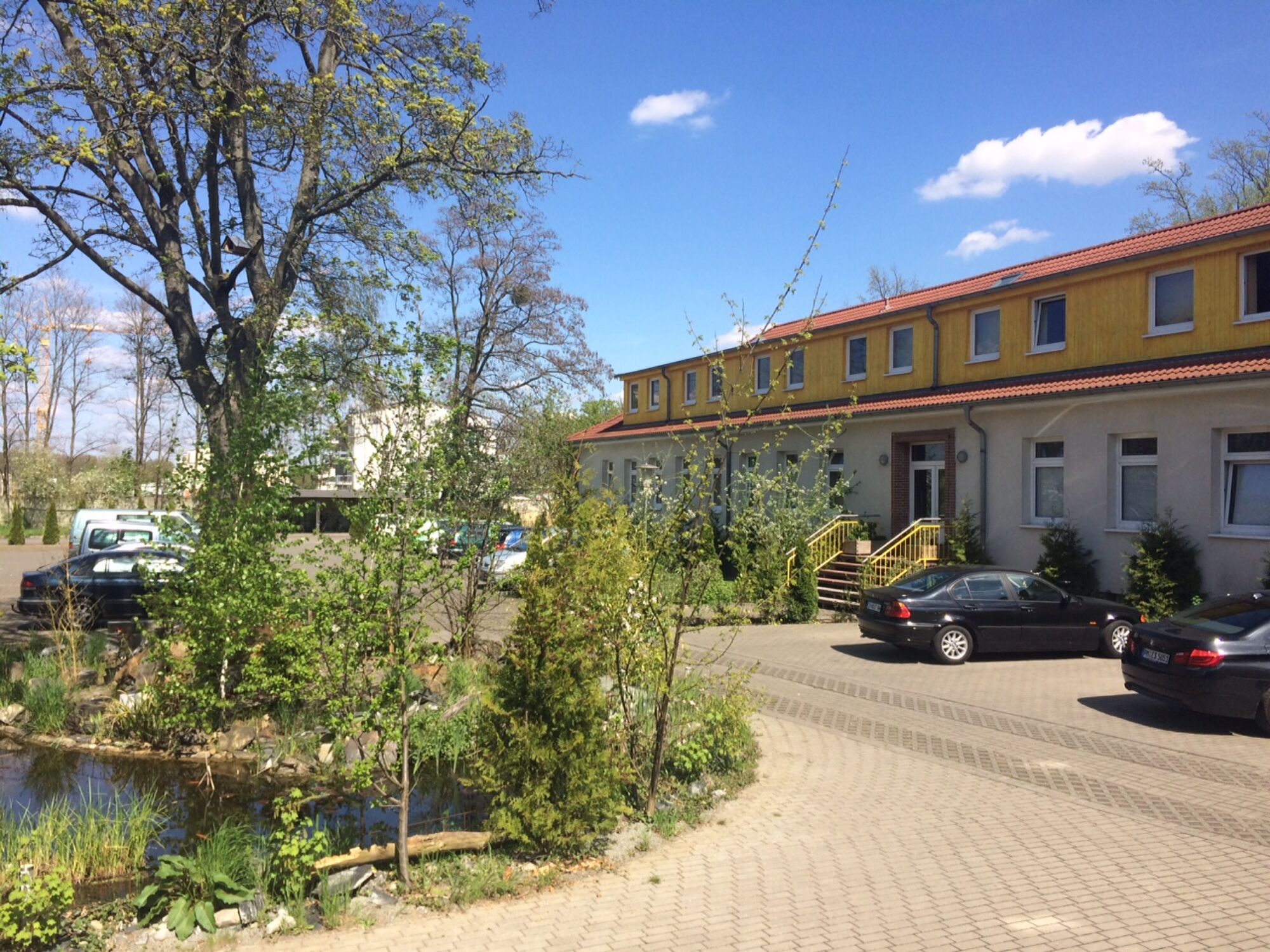 Teich am Parkplatz Teich am Parkplatz