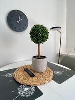 Urban Heaven-Zentral-5 Betten-WLAN-Parkplatz Zdjęcie 10 Urban Heaven-Zentral-5 Betten-WLAN-Parkplatz Zdjęcie 10