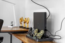 Golden Lion - Parkplatz - Sport - Messe Bild 8 Golden Lion - Parkplatz - Sport - Messe Bild 8