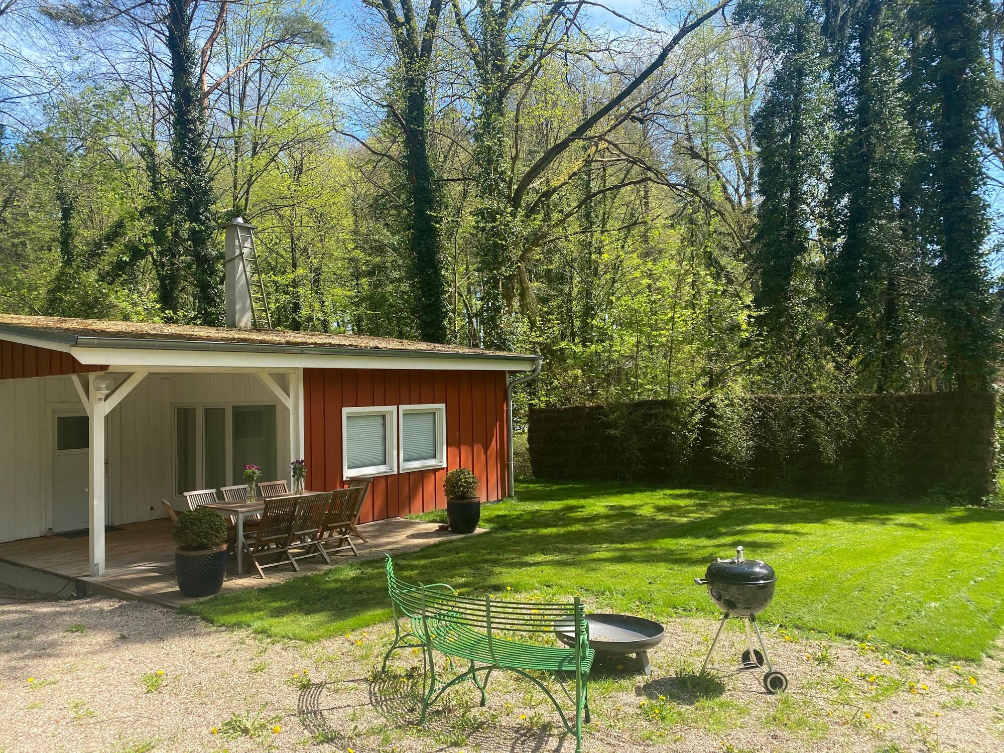 Zdjęcie 1 Zdjęcie 1