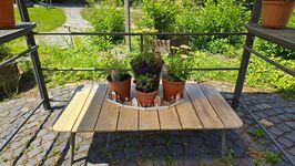 Historisches Kloster Marienthal bei Seelbach Bild 11 Historisches Kloster Marienthal bei Seelbach Bild 11