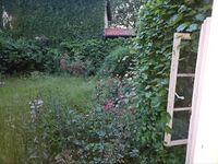 Rattebfänger Lebt Picture 6 Rattebfänger Lebt Picture 6