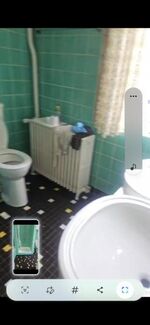 Rattebfänger Lebt Picture 10 Rattebfänger Lebt Picture 10