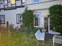 Rattebfänger Lebt Picture 11 Rattebfänger Lebt Picture 11