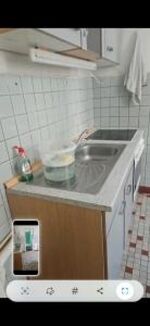 Rattebfänger Lebt Bild 1 Rattebfänger Lebt Bild 1