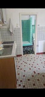 Rattebfänger Lebt Picture 9 Rattebfänger Lebt Picture 9