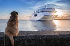 Strand Bude Zdjęcie 25 Strand Bude Zdjęcie 25