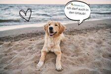 Strand Bude Zdjęcie 24 Strand Bude Zdjęcie 24