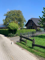 Wohnung Sternbushhof Picture 16 Wohnung Sternbushhof Picture 16