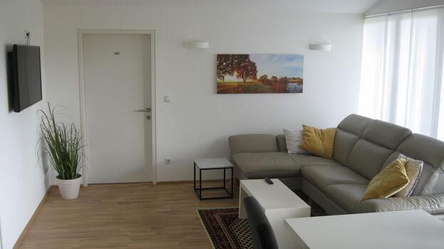Traunapartment-EZ-Parkplatz-24/7-Balkon-Zentrale Lage-WLA Traunapartment-EZ-Parkplatz-24/7-Balkon-Zentrale Lage-WLA