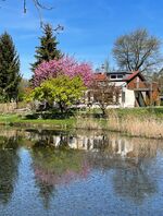Ferienwohnung Mollenberg Ferienwohnung Mollenberg