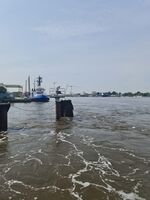 Ausblick auf der Fähre Ausblick auf der Fähre