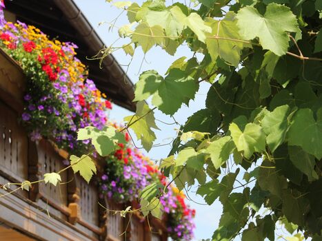 Pension zum Krug Picture 2 Pension zum Krug Picture 2