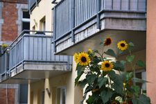 Wohnung Thein Bild 13 Wohnung Thein Bild 13