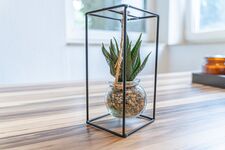 Apartment Wesseling Picture 4 Apartment Wesseling Picture 4