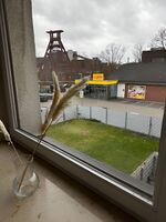 Nachbar des Weltkulturerbes Zeche Zollverein! GE1R Zdjęcie 11 Nachbar des Weltkulturerbes Zeche Zollverein! GE1R Zdjęcie 11
