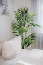 Schlafzimmer Schlafzimmer