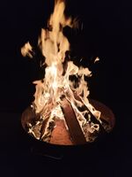 FeWo mit Whirlpool, Sauna, Garten, Terrasse -Familie Kammann Zdjęcie 17 FeWo mit Whirlpool, Sauna, Garten, Terrasse -Familie Kammann Zdjęcie 17