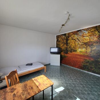 Haus mit 2 Wohnungen Haus mit 2 Wohnungen