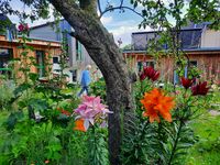 Sonne am Sund Bild 4 Sonne am Sund Bild 4