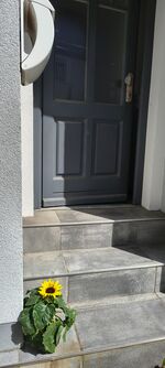 Eingangstüre Eingangstüre