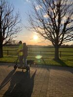 Ferienhof Schattmann Bild 12 Ferienhof Schattmann Bild 12