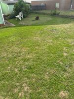 Gästezimmer in schönem Haus mit Garten Bild 9 Gästezimmer in schönem Haus mit Garten Bild 9