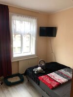 Pension Karsten Mertens Picture 5 Pension Karsten Mertens Picture 5