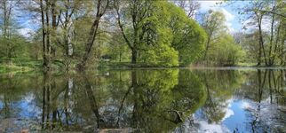 Wohnung mit Terrasse – Kurzzeitvermietung in Sanitz bei Rostock Bild 10 Wohnung mit Terrasse – Kurzzeitvermietung in Sanitz bei Rostock Bild 10