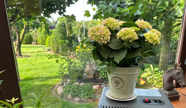 Gästezimmer Graefe Bild 4 Gästezimmer Graefe Bild 4