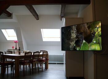 Schleusenhof Ferienwohnung Bild 4 Schleusenhof Ferienwohnung Bild 4