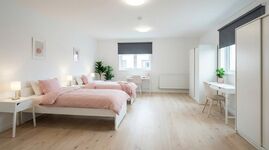 FL27 / TOMASZ-LIVING in SCHLESWIG - WLAN inklusive Bild 4 FL27 / TOMASZ-LIVING in SCHLESWIG - WLAN inklusive Bild 4