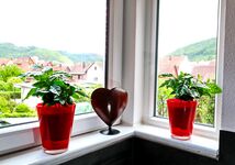 Sonja Müller Bild 9 Sonja Müller Bild 9