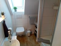 Wohnung in der Südstadt Bild 5 Wohnung in der Südstadt Bild 5