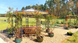 Remise beim Sophienschlösschen nähe Berlin Zdjęcie 15 Remise beim Sophienschlösschen nähe Berlin Zdjęcie 15