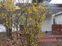 Haus Schmidt Picture 10 Haus Schmidt Picture 10