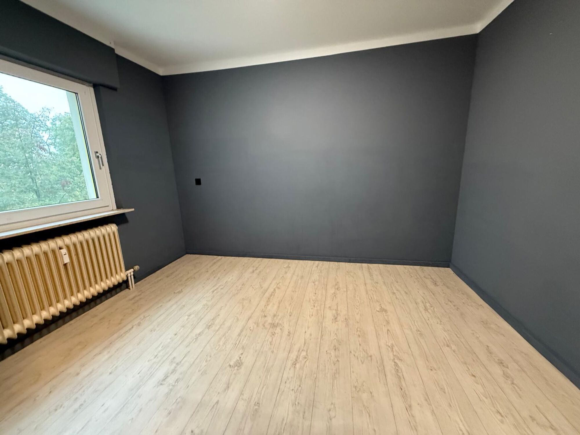 Bild 4 Bild 4