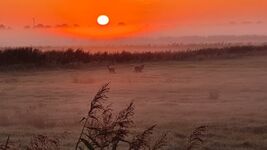 Ferienhaus, 8 Einzelbetten Komplettausstattung! Aktuell frei Zdjęcie 4 Ferienhaus, 8 Einzelbetten Komplettausstattung! Aktuell frei Zdjęcie 4
