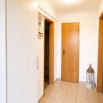 Wohnung Kegelrobbe Bild 8 Wohnung Kegelrobbe Bild 8