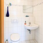 Wohnung Kegelrobbe Bild 14 Wohnung Kegelrobbe Bild 14